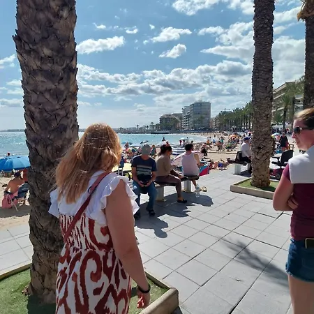 A Louer A 100m De La Torrevieja